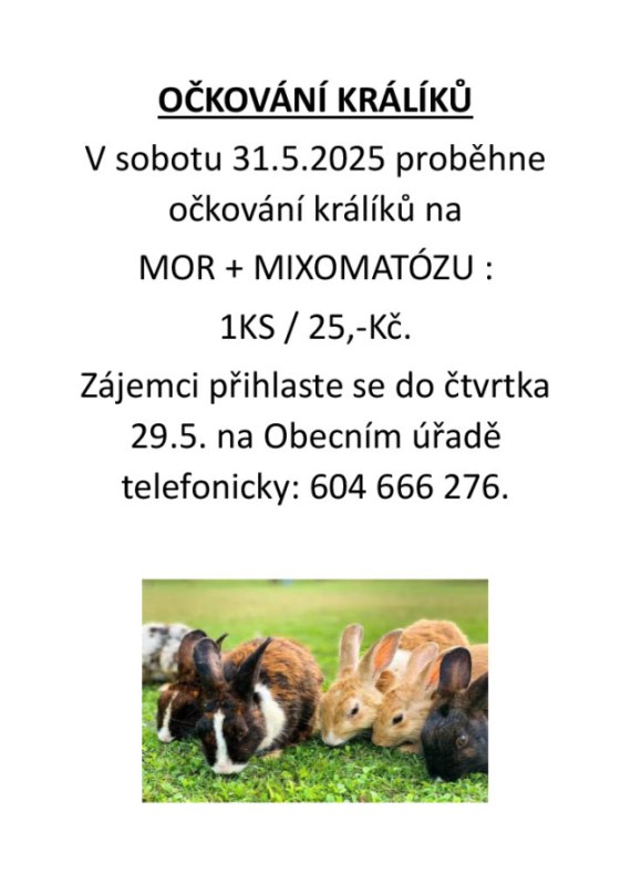 Očkování králíků