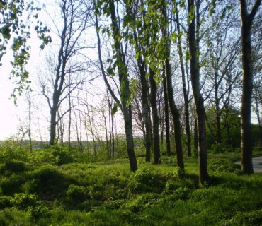 Chráněnná krajinná oblast-KOPEČ