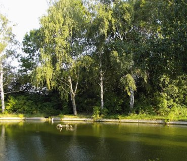 Chráněnná krajinná oblast-KOPEČ