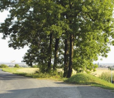 Chráněnná krajinná oblast-KOPEČ