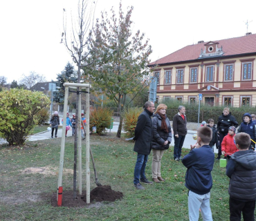 Lampionový průvod a vysazení lípy