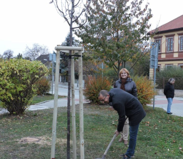 Lampionový průvod a vysazení lípy