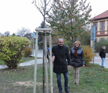Lampionový průvod a vysazení lípy