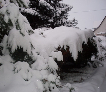 Zima 2010