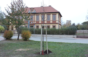 Lampionový průvod a vysazení lípy